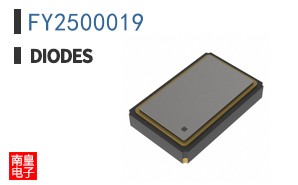 FY2500019