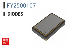 FY2500107