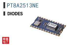 PT8A2513NE