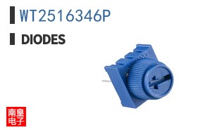 WT2516346P