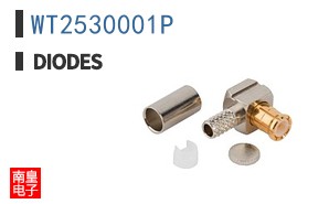 WT2530001P